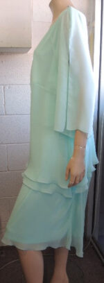 Eve Hunter Chiffon Skirt Suit - Image 4